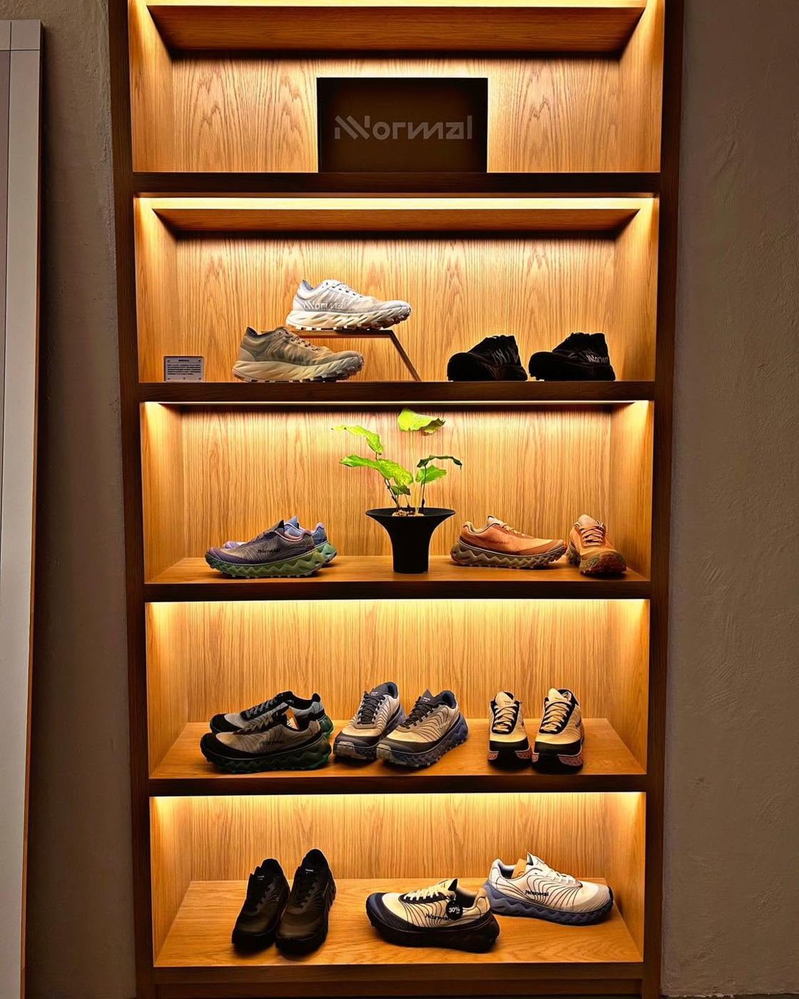 NNormal shoe wall with warm wood shelving in store